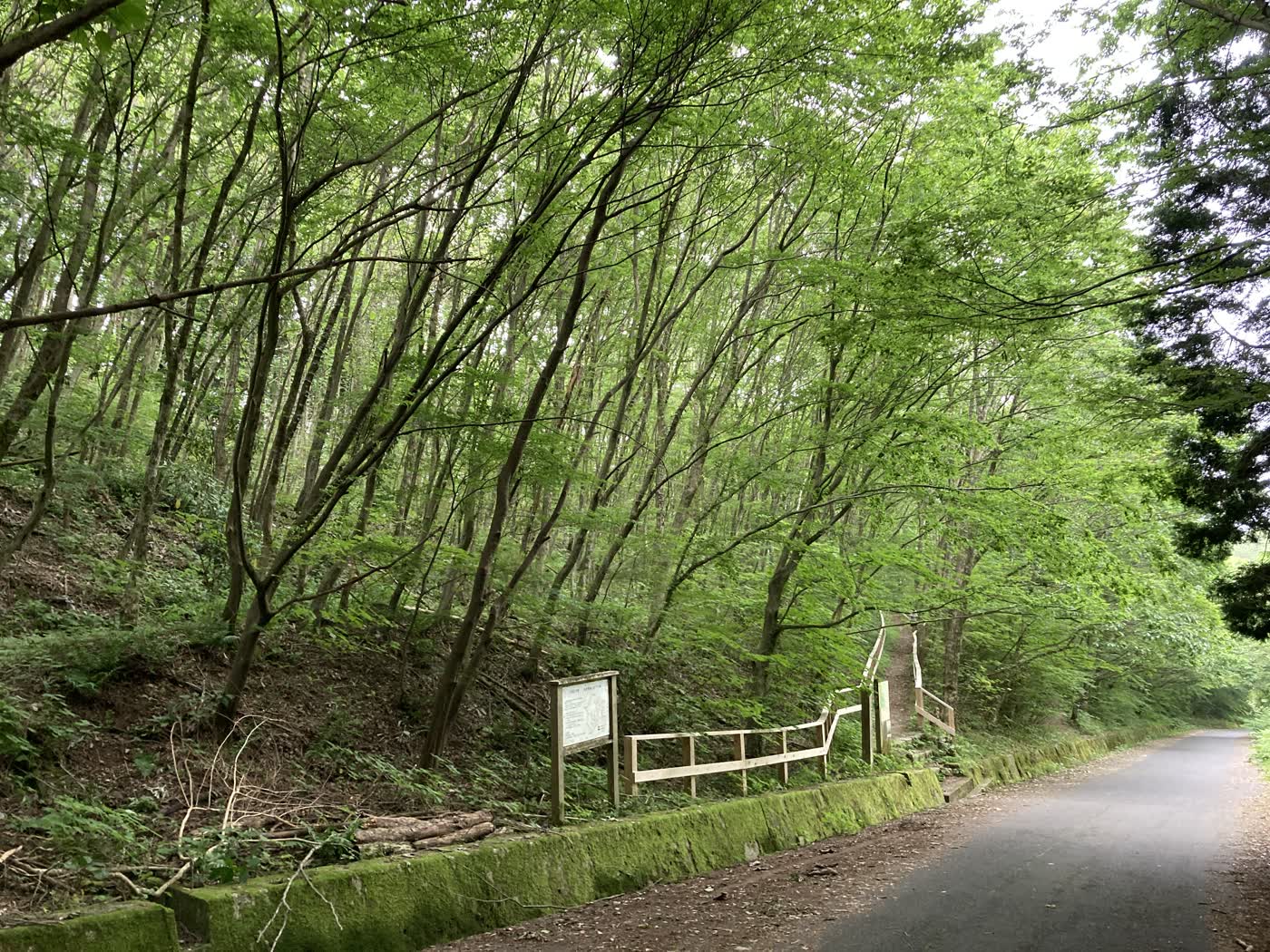 和泉葛城山ブナ林の遊歩道入口