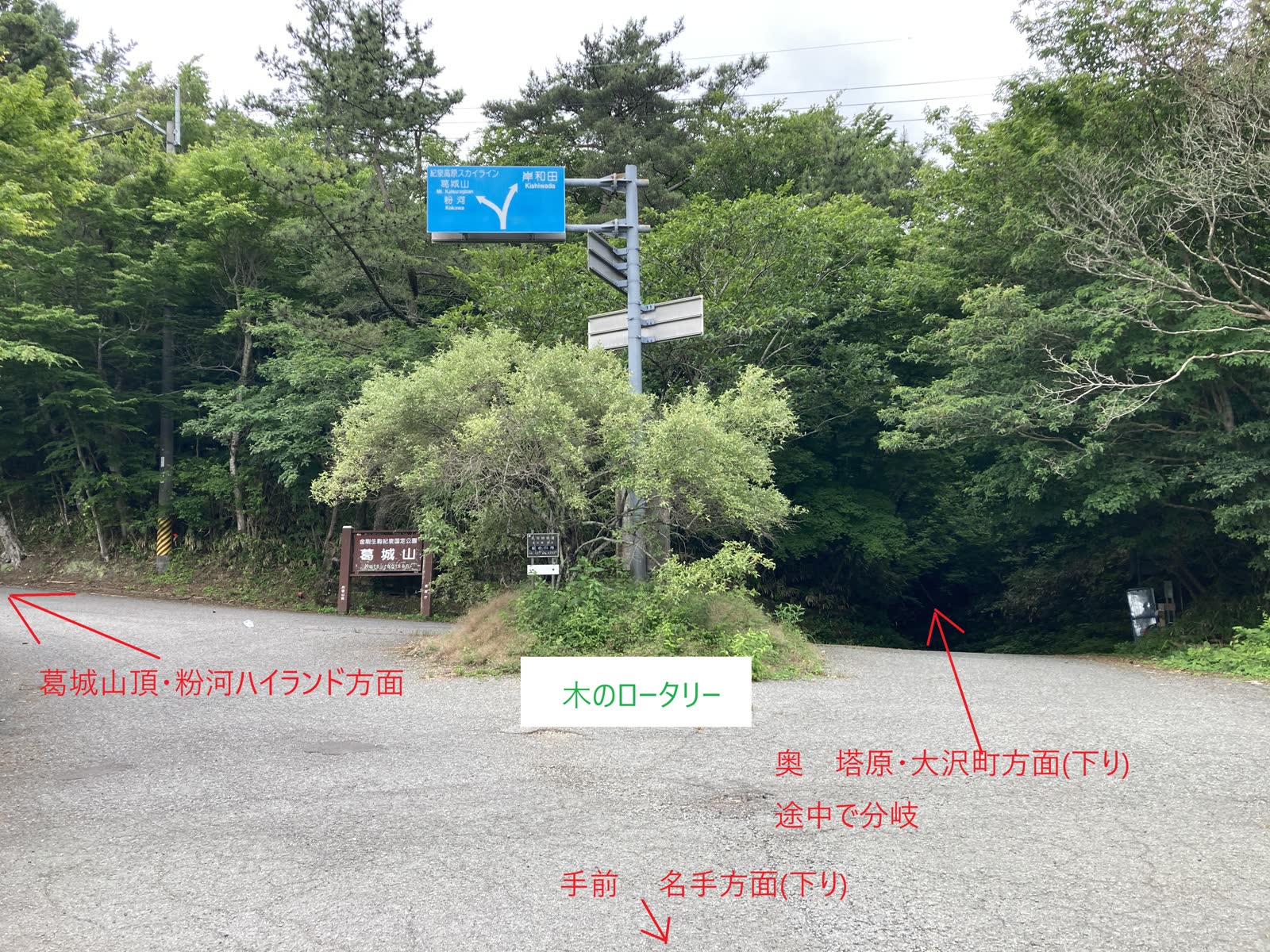 和泉葛城山ブナ林近くの木のロータリー